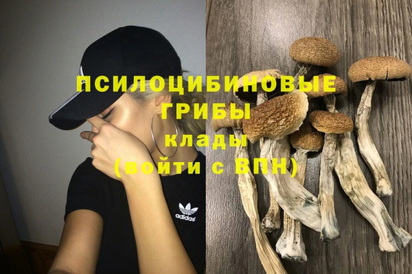эйфоретик Вязьма