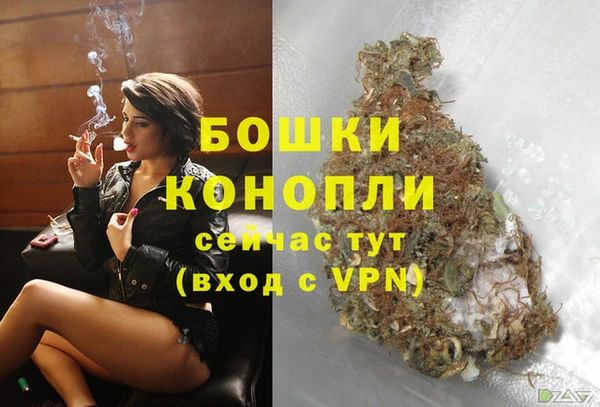 эйфоретик Вязьма