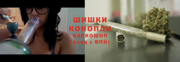 spice Володарск