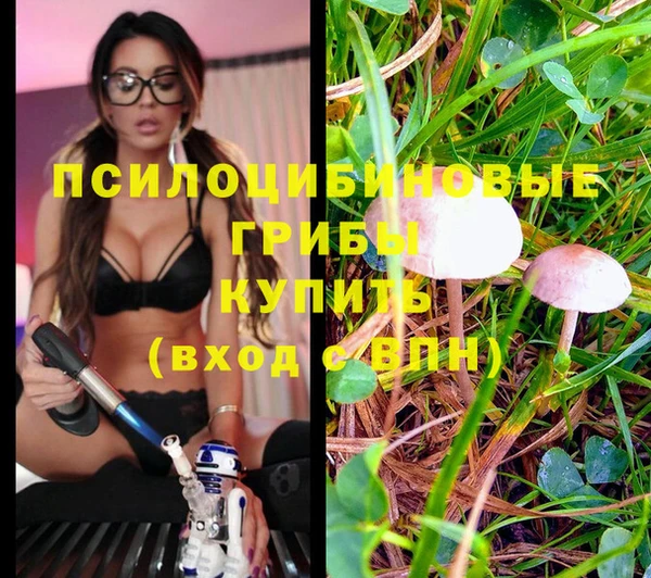 гашик Волоколамск