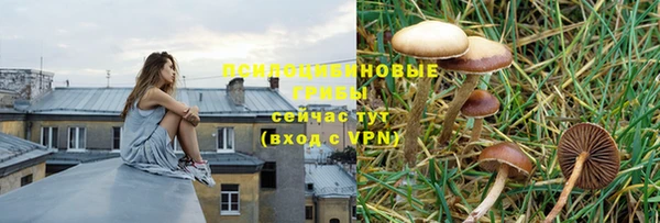 spice Володарск