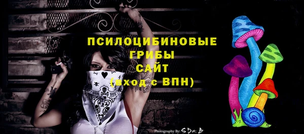 spice Володарск