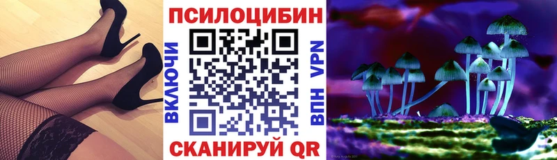 Псилоцибиновые грибы Psilocybine cubensis kraken ONION Домодедово купить наркоту